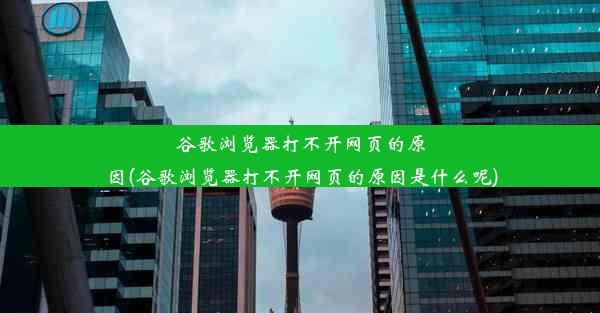 谷歌浏览器打不开网页的原因(谷歌浏览器打不开网页的原因是什么呢)