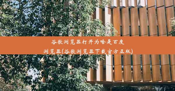 谷歌浏览器打开为啥是百度浏览器(谷歌浏览器下载官方正版)