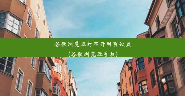 谷歌浏览器打不开网页设置(谷歌浏览器手机)