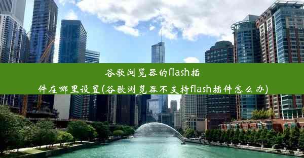 谷歌浏览器的flash插件在哪里设置(谷歌浏览器不支持flash插件怎么办)