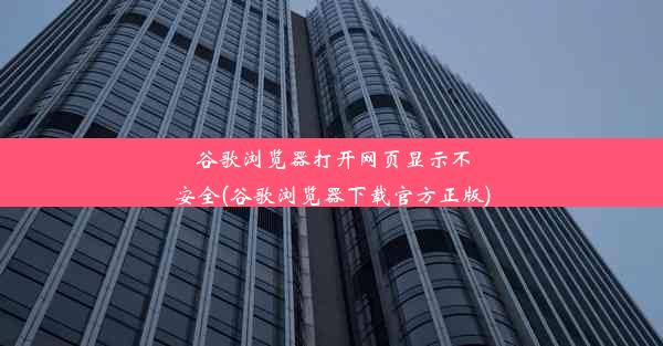 谷歌浏览器打开网页显示不安全(谷歌浏览器下载官方正版)