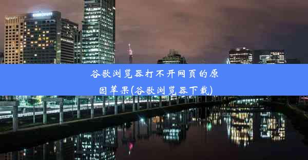 谷歌浏览器打不开网页的原因苹果(谷歌浏览器下载)