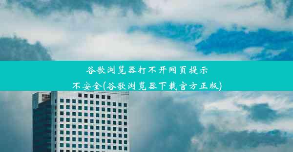 谷歌浏览器打不开网页提示不安全(谷歌浏览器下载官方正版)