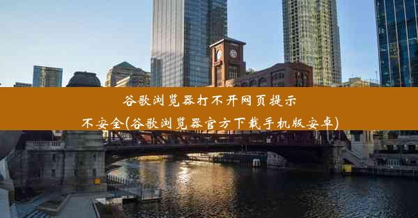 谷歌浏览器打不开网页提示不安全(谷歌浏览器官方下载手机版安卓)