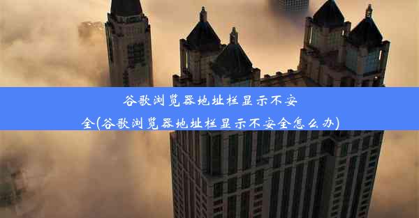 谷歌浏览器地址栏显示不安全(谷歌浏览器地址栏显示不安全怎么办)