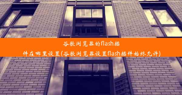 谷歌浏览器的flash插件在哪里设置(谷歌浏览器设置flash插件始终允许)