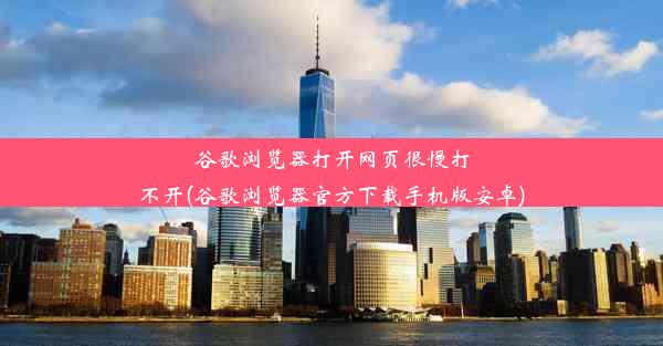 谷歌浏览器打开网页很慢打不开(谷歌浏览器官方下载手机版安卓)