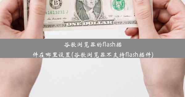 谷歌浏览器的flash插件在哪里设置(谷歌浏览器不支持flash插件)