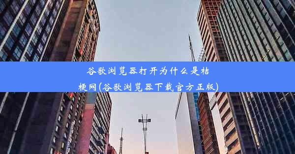 谷歌浏览器打开为什么是桔梗网(谷歌浏览器下载官方正版)