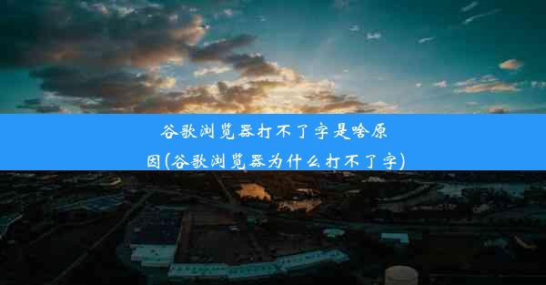 谷歌浏览器打不了字是啥原因(谷歌浏览器为什么打不了字)