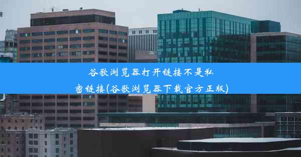 谷歌浏览器打开链接不是私密链接(谷歌浏览器下载官方正版)