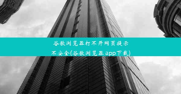 谷歌浏览器打不开网页提示不安全(谷歌浏览器 app下载)