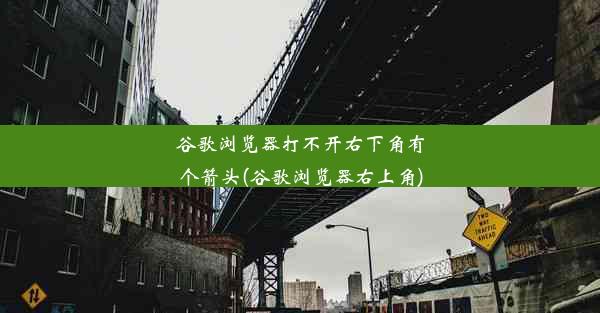 谷歌浏览器打不开右下角有个箭头(谷歌浏览器右上角)