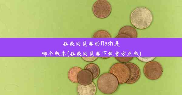 谷歌浏览器的flash是哪个版本(谷歌浏览器下载官方正版)