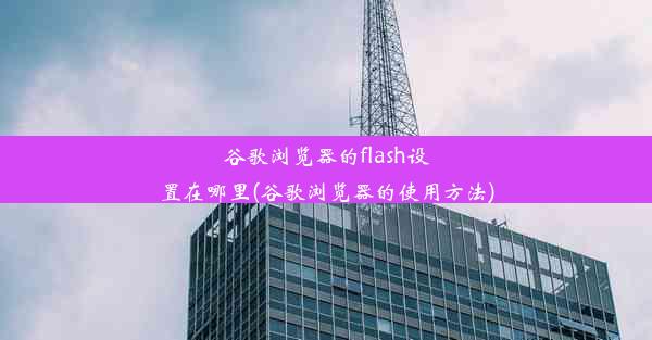 谷歌浏览器的flash设置在哪里(谷歌浏览器的使用方法)