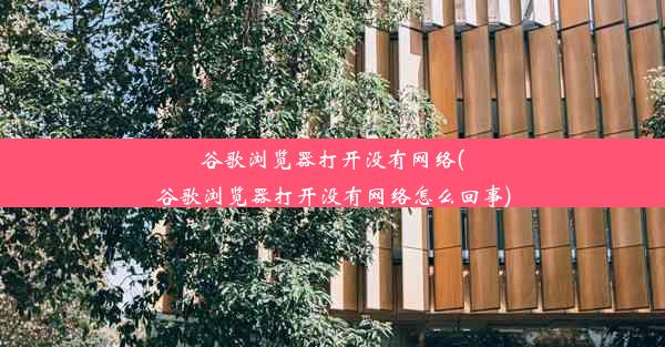 谷歌浏览器打开没有网络(谷歌浏览器打开没有网络怎么回事)