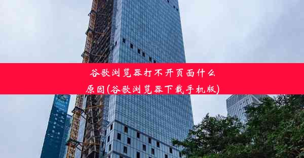 谷歌浏览器打不开页面什么原因(谷歌浏览器下载手机版)