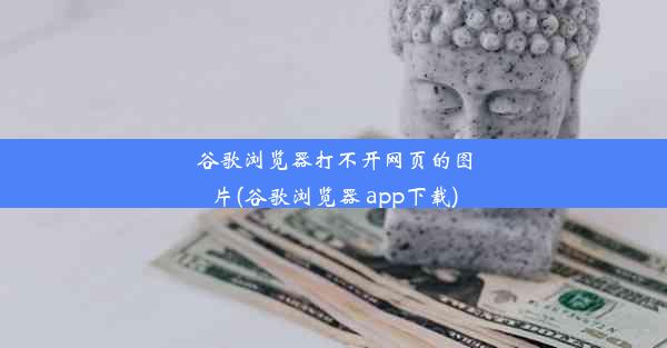 谷歌浏览器打不开网页的图片(谷歌浏览器 app下载)