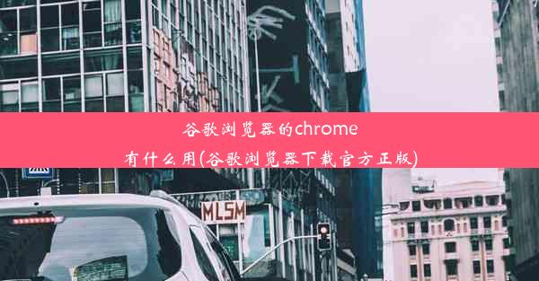 谷歌浏览器的chrome有什么用(谷歌浏览器下载官方正版)