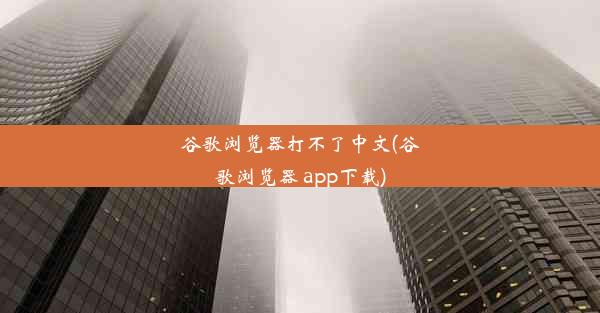 谷歌浏览器打不了中文(谷歌浏览器 app下载)