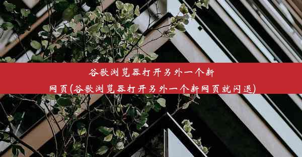 谷歌浏览器打开另外一个新网页(谷歌浏览器打开另外一个新网页就闪退)