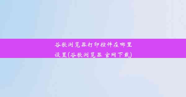 谷歌浏览器打印控件在哪里设置(谷歌浏览器 官网下载)