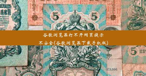 谷歌浏览器打不开网页提示不安全(谷歌浏览器下载手机版)