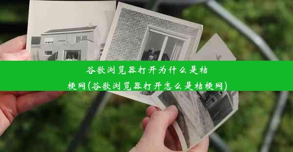 谷歌浏览器打开为什么是桔梗网(谷歌浏览器打开怎么是桔梗网)