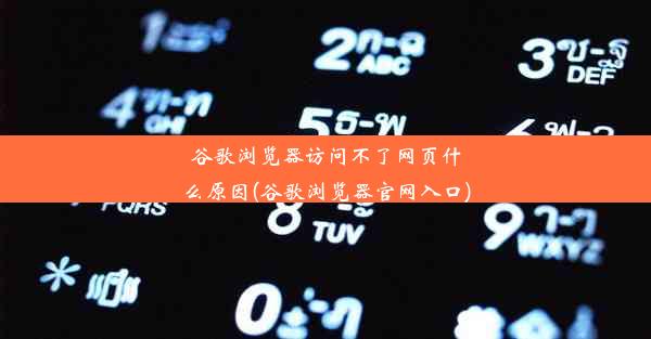 谷歌浏览器访问不了网页什么原因(谷歌浏览器官网入口)