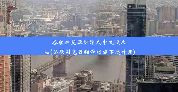 谷歌浏览器翻译成中文没反应(谷歌浏览器翻译功能不起作用)