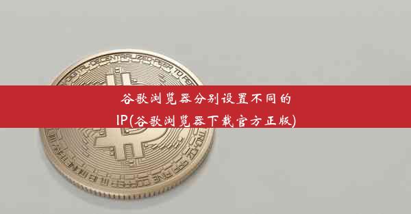 谷歌浏览器分别设置不同的IP(谷歌浏览器下载官方正版)