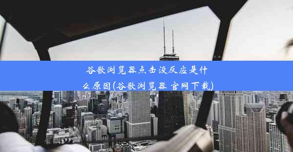 谷歌浏览器点击没反应是什么原因(谷歌浏览器 官网下载)