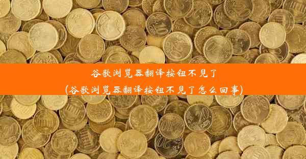 谷歌浏览器翻译按钮不见了(谷歌浏览器翻译按钮不见了怎么回事)