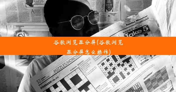 谷歌浏览器分屏(谷歌浏览器分屏怎么操作)