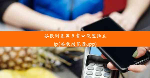 谷歌浏览器多窗口设置独立ip(谷歌浏览器app)