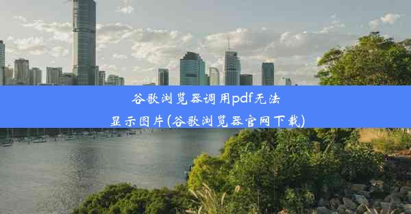 谷歌浏览器调用pdf无法显示图片(谷歌浏览器官网下载)