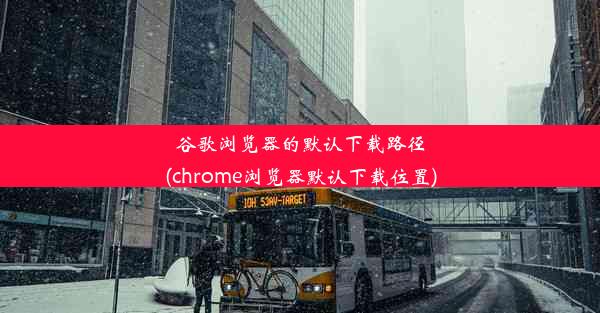 谷歌浏览器的默认下载路径(chrome浏览器默认下载位置)