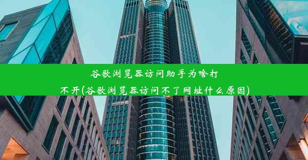 谷歌浏览器访问助手为啥打不开(谷歌浏览器访问不了网址什么原因)