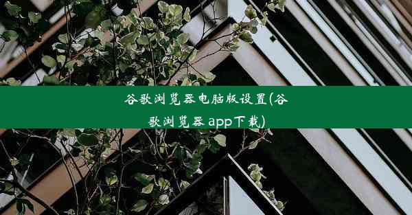 谷歌浏览器电脑版设置(谷歌浏览器 app下载)