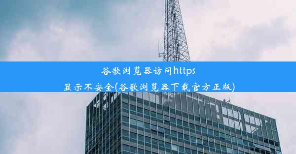 谷歌浏览器访问https显示不安全(谷歌浏览器下载官方正版)